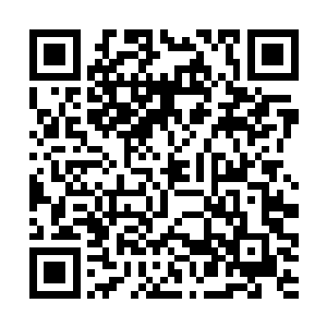 释放出一种他自己也不明白是怎么形成的特殊信息素二维码生成