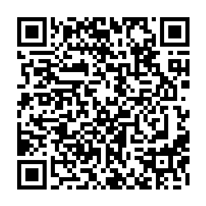 释放出一道道恐怖绝伦的腐尸罡气……这是它们生前残留的一些罡气转化而来的二维码生成