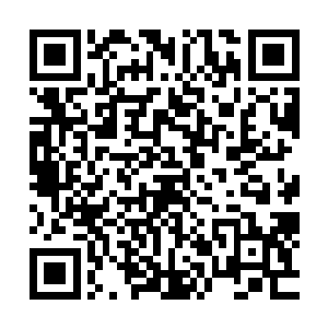 释无量为什么会把另外两部分的钥匙分别放在九仪宫和神阳宫二维码生成