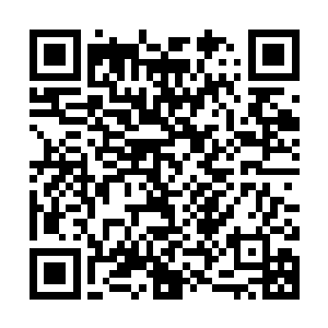 里出现的所有恐龙角色都可以由演员来完成表演――真正的表演二维码生成