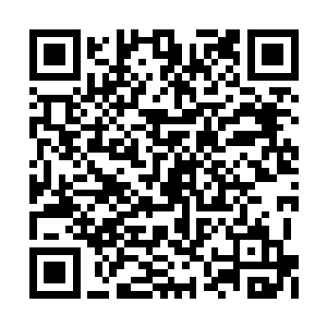 里面仅有从冰冷的铁门细缝传来几道微弱的阳光二维码生成