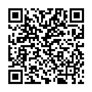 里面的世界之心在鸿蒙塔的镇压之下顿时也变得老实了起来二维码生成