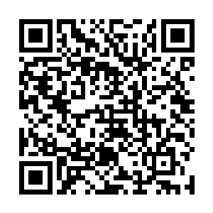 重力井旁守护的战士们立刻把枪口对准了白小飞和小薇二维码生成