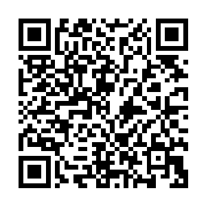 重新将卷宗封印好之后又将书房恢复了原装才从窗口翻了出去二维码生成