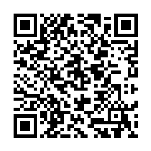 重点就在于他们有的问题是林封谨都根本不知道无法回答的二维码生成