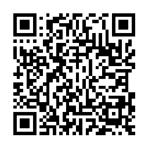 重要的是继续寻找灵魂师的消息和能让无名法诀运转的特殊气息二维码生成