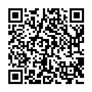 重要的是这两个支线任务要是完不成的话那就会被系统取消了二维码生成
