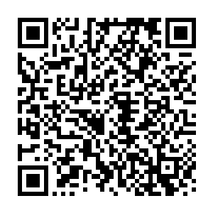 重重的撞击在那一扇秘境之门上了……那恐怖的力量更是凶悍无比的袭来二维码生成
