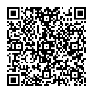 野口被撕碎拖走的一幕无论从视觉还是心灵上都带给了玩家们一次非常强烈的冲级二维码生成