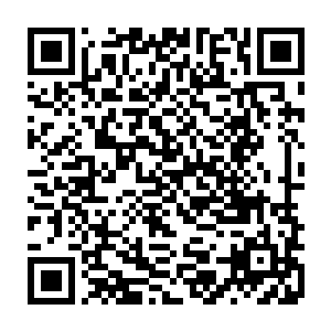 野家的威望也是一下子从一个顶级二流家族直接掉到三流家族的行列去了二维码生成