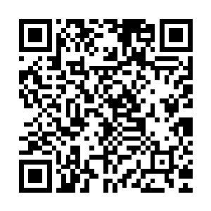 野蛮萨尔瓦多人也有同样数量的枪手进入了里约你会作何感受呢二维码生成
