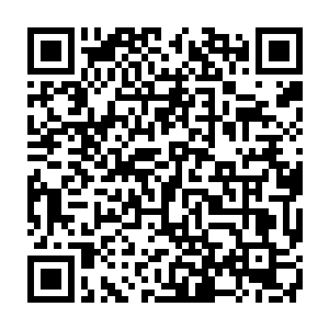 野马的两架小型的运输飞机载着所有的过完圣诞节的水手们回到了尤利安娜霍布二维码生成