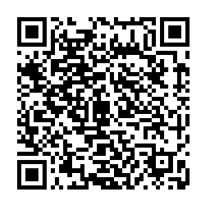 金不黑与域外传承的接引人的谈话便可以得到一个结论――蛮域不只有蛮荒大陆二维码生成