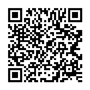 金刚佛陀……啊……你困不住我无面鬼祖的……困不住的……二维码生成