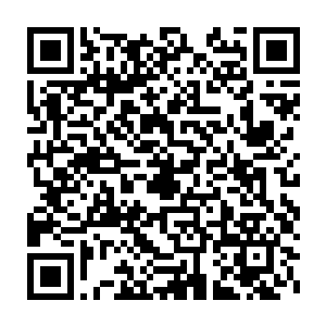 金剑师弟他们一行人前往万星宗查探杀害咱们剑一师弟几人等人的死因二维码生成