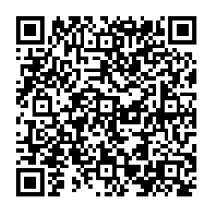 金基范已经带着所有来参加研讨会的韩国医生代表坐上了开往省会城市海州市的车子二维码生成