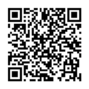 金小寒对于张兵当初和他说两人在学校里面双宿双飞的话二维码生成