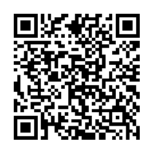 金木水火土构筑世界的五行力量也达到了完美的和谐二维码生成