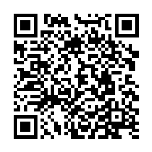 金氏房里只有闻春意和闻秀峻姐弟在榻位上翻滚玩耍二维码生成