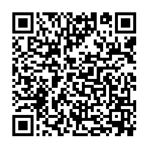 金百合方面的确是掌握了一些外国组织和个人在日本盗取古董的线索二维码生成