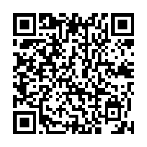 金色白罴的爪子旁边居然被砸出来了一重透明的幻象爪子二维码生成