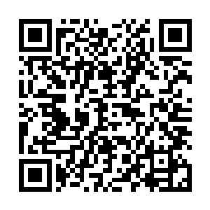 金鼎实业就很有可能会因为这次的投资而导致满盘皆输二维码生成