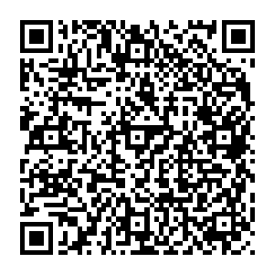 针对姓地招募了一批忠诚度完全信得过的华人华侨科学家和西南大学与高级技术学校的优秀人才后二维码生成