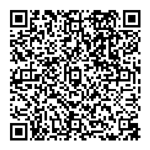 钟国金和曾龙志都经常在宋大成面前提到丰州市伏龙和双庙两个区从一穷二白白手起家变成现在的欣欣向荣日新月异二维码生成