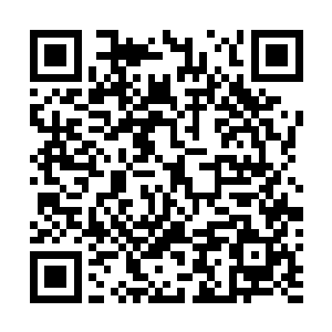 钟杨颖的秘书条件反射地用带着一丝敬畏的朝夏云杰看去二维码生成