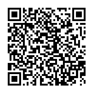钟校长定睛仔细朝着第一名的姓名和各科成绩以及总分栏扫了过去二维码生成