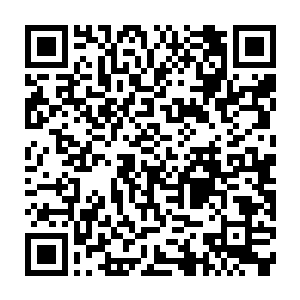 钢琴曲和奥兰多的自白语都是在张东城的授意下在开拍之前便完全录制好的二维码生成