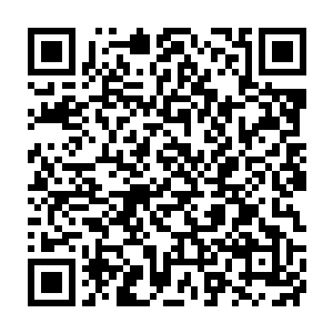 钱多多和柳不怨的话语中便是没有把这几位世家的年轻人给放在眼中二维码生成
