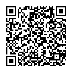 铁塔几乎每天都会在山里面杀一头野兽回来挨家挨户的分给村子里的人二维码生成