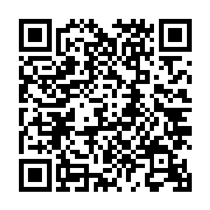 铁血异形的综合战力和生存力也必定会得到巨幅的提升二维码生成