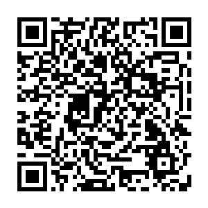 铠甲的肩膀位置还烙印了一枚月牙――这是极夜城城主杰克逊子爵的标记二维码生成