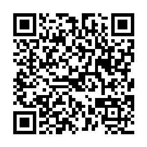 镇南王在看了定王的伤之后眉宇间明显的舒展来了不少二维码生成