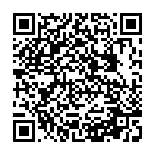 镇守河北的周绽以及镇守山东的娄青云在辽东都是立下过赫赫战功的将军二维码生成