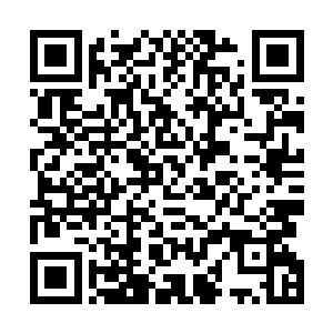 镇定自若的卡娅一面提醒皇甫昕和苏雨果不要太靠近海面二维码生成