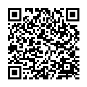 镇癸殿堂堂红莲二品的行走竟然被三名府主给打得命在旦夕二维码生成