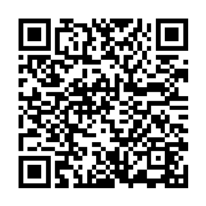 镌刻着无数妖族和妖兽厮杀场面的青铜大门缓缓打开二维码生成