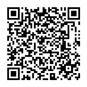 镜头上的一只海豹和一只狗组成的这付模样真是要多吸引眼球就多吸引眼球二维码生成