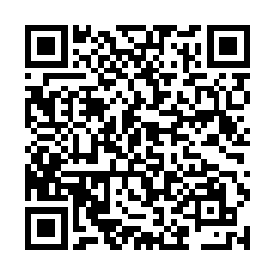 长刀没头没脑的朝不断地在地上翻滚的希拉木伦砍去二维码生成