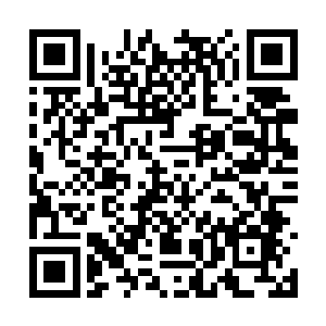 长到现在这么大困在这个家里出门的时候屈指可数二维码生成