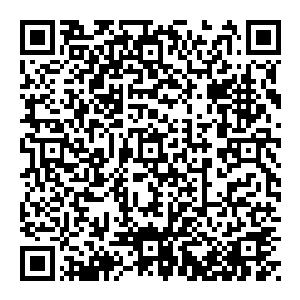 长得倒是漂亮 但他却沒有多看一眼 而是一晃就过 并不是说他不喜欢美女 而是此时的他 内心有些烦闷 一心只想快些到达灵界二维码生成