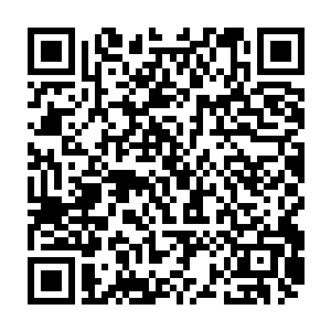 长期占据客厅早已把这里当成自己领地的妮娜愤怒的等着一脸委屈的白兰二维码生成