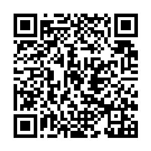 长生的柳条按理说在吞了建木叶之后是不会再有了我二维码生成
