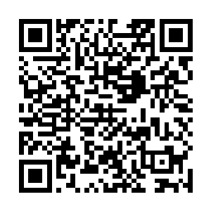 长生瞄了瞄将最后魏厨子和大红抱进去的师叔和元辰夕二维码生成