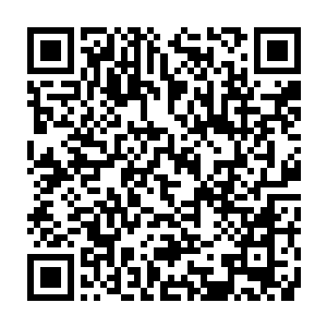 长老殿算是整个蓬莱秘境的最高通知所载了……由十三人组建而成的圆桌同门二维码生成