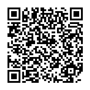 长达三十余米的巨大粗壮鳞甲犀牛魔兽站在那一动不动的盯着洞里面二维码生成