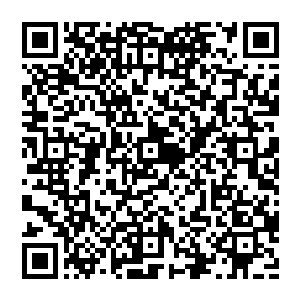 长青王怒吼整个人都化作了万丈的巨树比之当年的封界树神还要强大不少透露的气息几乎成为此地的主宰二维码生成